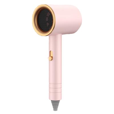 Hair Drier Mute 360 Degree Rotatable Nozzle Fast Drying ABS PP Portable Blow Dryer for Home Salon