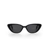 Mitaseongeullaseu Honokalani Tinted Sunglasses Mt005564C1 Black