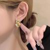Irregular Frosted Stud Earrings for Women – 2024 Stylish Niche Design with Silver Needle for a High-End, Fashionable Look