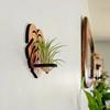 Wall Air Plant Holder Wooden Geometric Air Plant Stand Rustic Wall Mount Planter for Home Living Room Bedroom Decor
