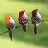 3/6 Piezas Pájaros Artificiales 3D de Espuma con Plumas Decoraciones para Fiesta de Cumpleaños Hogar Jardín Boda