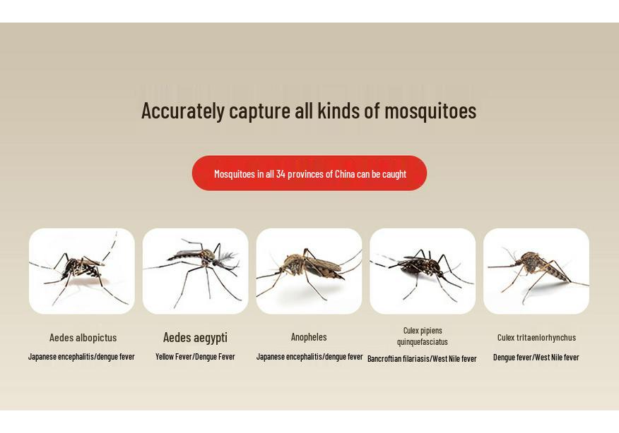 USB Rechargeable Indoor/Outdoor Electric Mosquito Killer Lamp