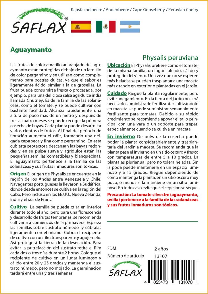 SAFLAX Cape Gooseberry / Peruvian Cherry - 100 Seeds - Physalis Peruviana