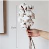 High-End Wabi-Sabi Dried Flower Decor: Natural Reeds & Wheat for Living Room or Homestay.