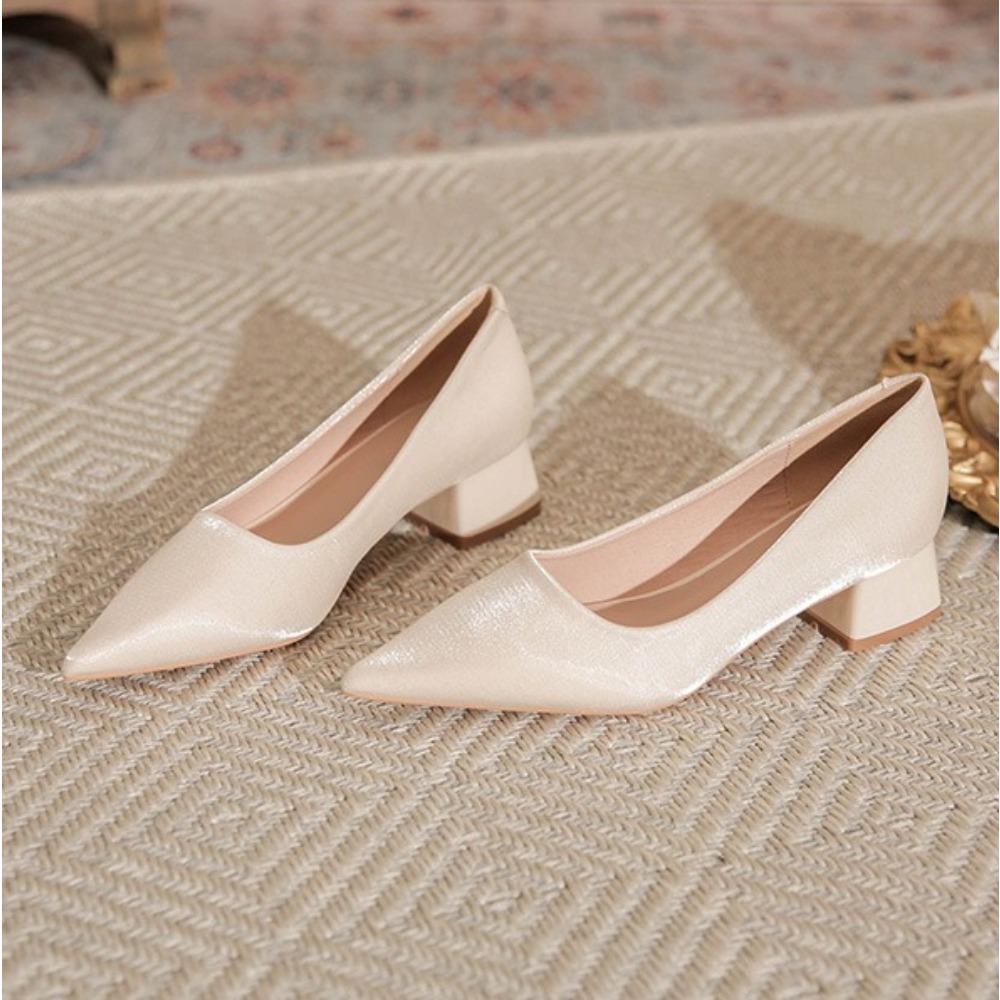 High Heels Women Spring Summer Thick Heel Pointed Professional Mid Heel Pumps New Shallow Commuter Work Shoes Comfortable