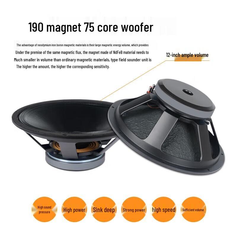 SHILE BM-12 12-inch Professional Stage Speakers (Pair)