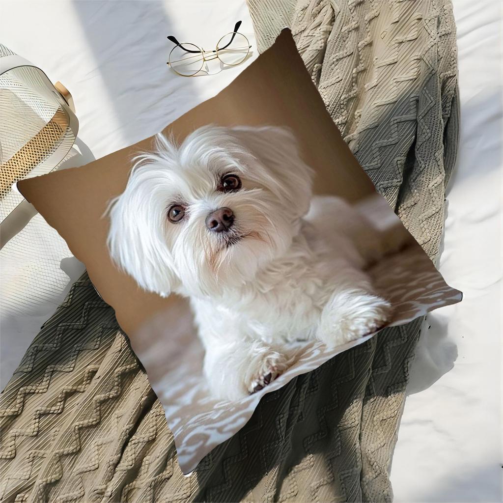 1 Stück Malteser Hund Liegend Niedlich Thema Gedruckter Kissenbezug, Geeignet für Sofa, Schlafzimmer, Wohnzimmer, Heilendes Geschenk für Hundeliebhaber