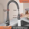 Pull-Out Rotatable Brass Kitchen Faucet