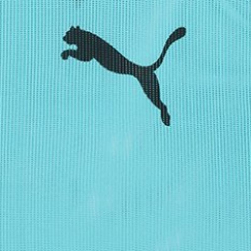 Puma Team Vest Bib Vest