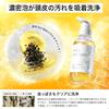 NILE Rich Foam Scalp Shampoo for Men Amino Acid Non-Silicone 500ml (Lafrance Scent)