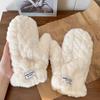 Plush mittens, women's cold-proof cycling students, Korean version, fashionable and cute, fluffy warm and plush thickened.