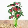1Pc Simulation Plant Artificial Silk Leaves Turtle Leaf DIY Wall Accessories Home Garden Decoration