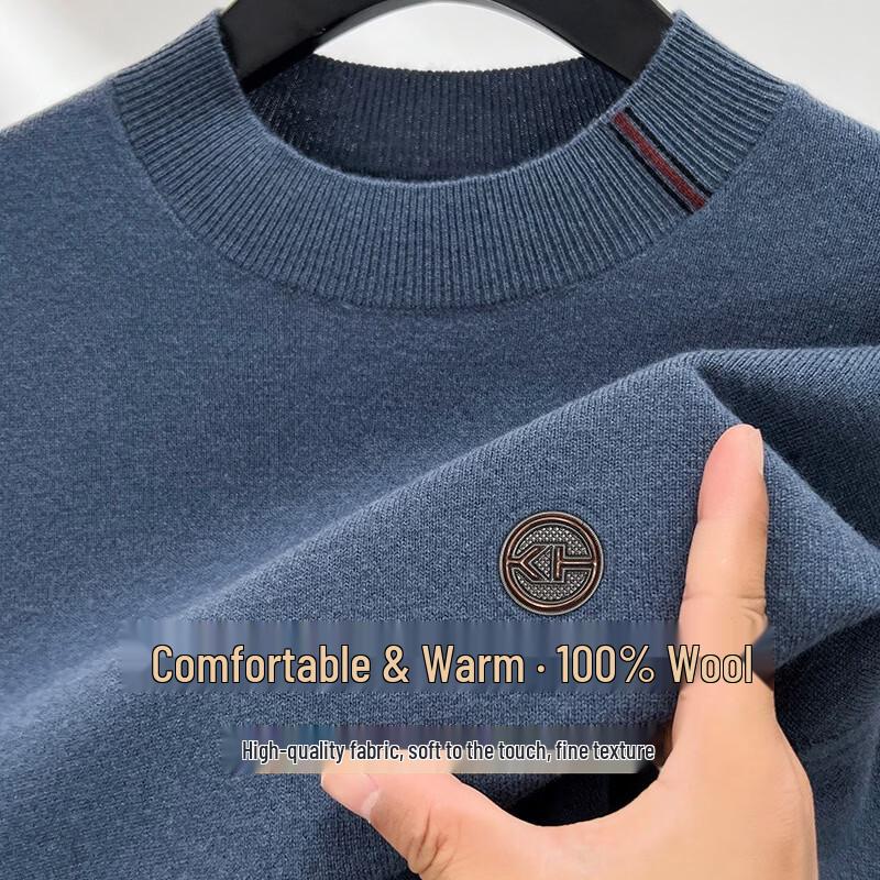 Pierre Cardin Men's Pure Wool Crew Neck Knit Sweater