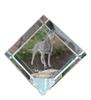 Manchester Terrier – Crystal Cube with a Photo, Photo of a Horse In Crystal |