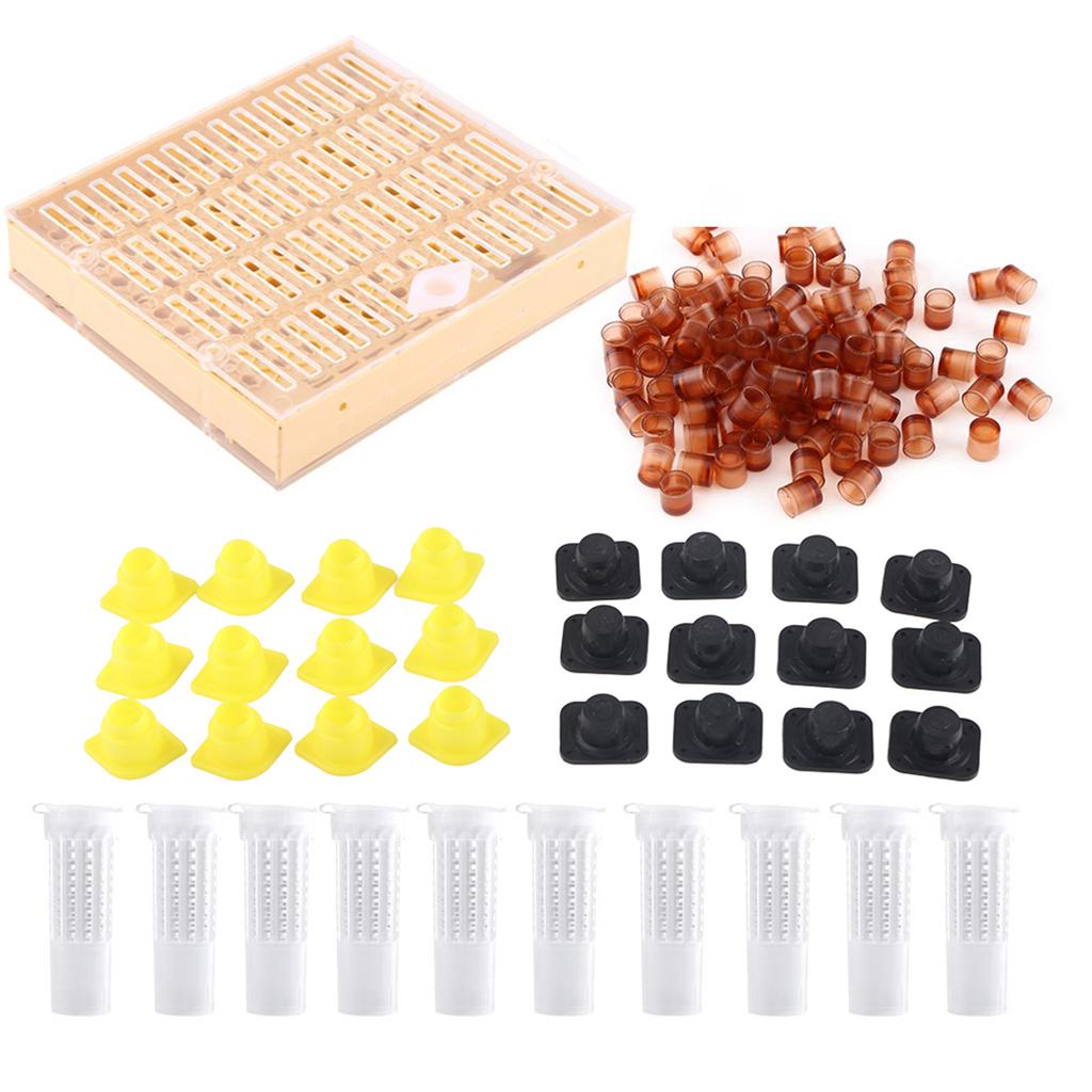 Beekeeping Queen Rearing Cups Box Cell Bar Blocks Caps Hair Roller Cages Bee Keeper Equipment