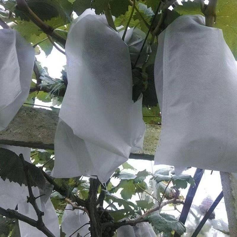 100Pcs Non Woven Grape Protective Bags Waterproof Breathable Prevent Birds Rain Damage For Orchard Home Garden Use