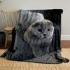 Rundes Gesicht Scottish Fold Katze Decke Schlafzimmer Decke für Wohnzimmer Sofa Mittagspause Weicher Überwurf für Freundes Festival Geschenk