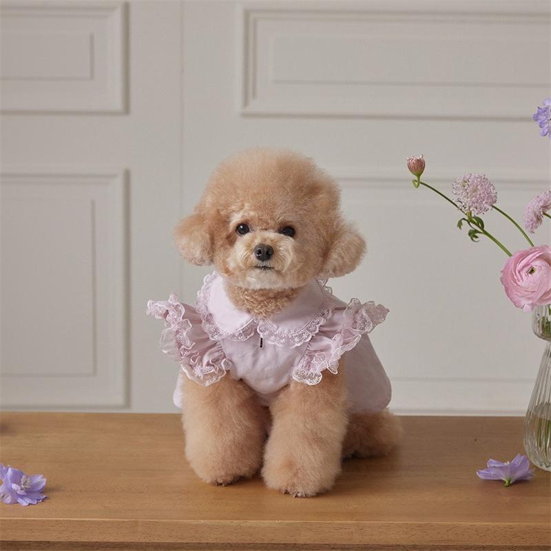 Pet Spring Lace Flying Sleeve Lady Dress Teddy Collar Dress Dog Clothes for Small Dogs T-shirt Puppy Clothes