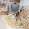6 Bundles Artificial Aglaia Odorata Branch Realistic Fake Fruits Berries Stem for Home Office Indoor Flower Arrangement Wedding Party Centerpiece