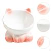 Gamelle pour chat en porcelaine, récipient pour arroser et nourrir les chiens