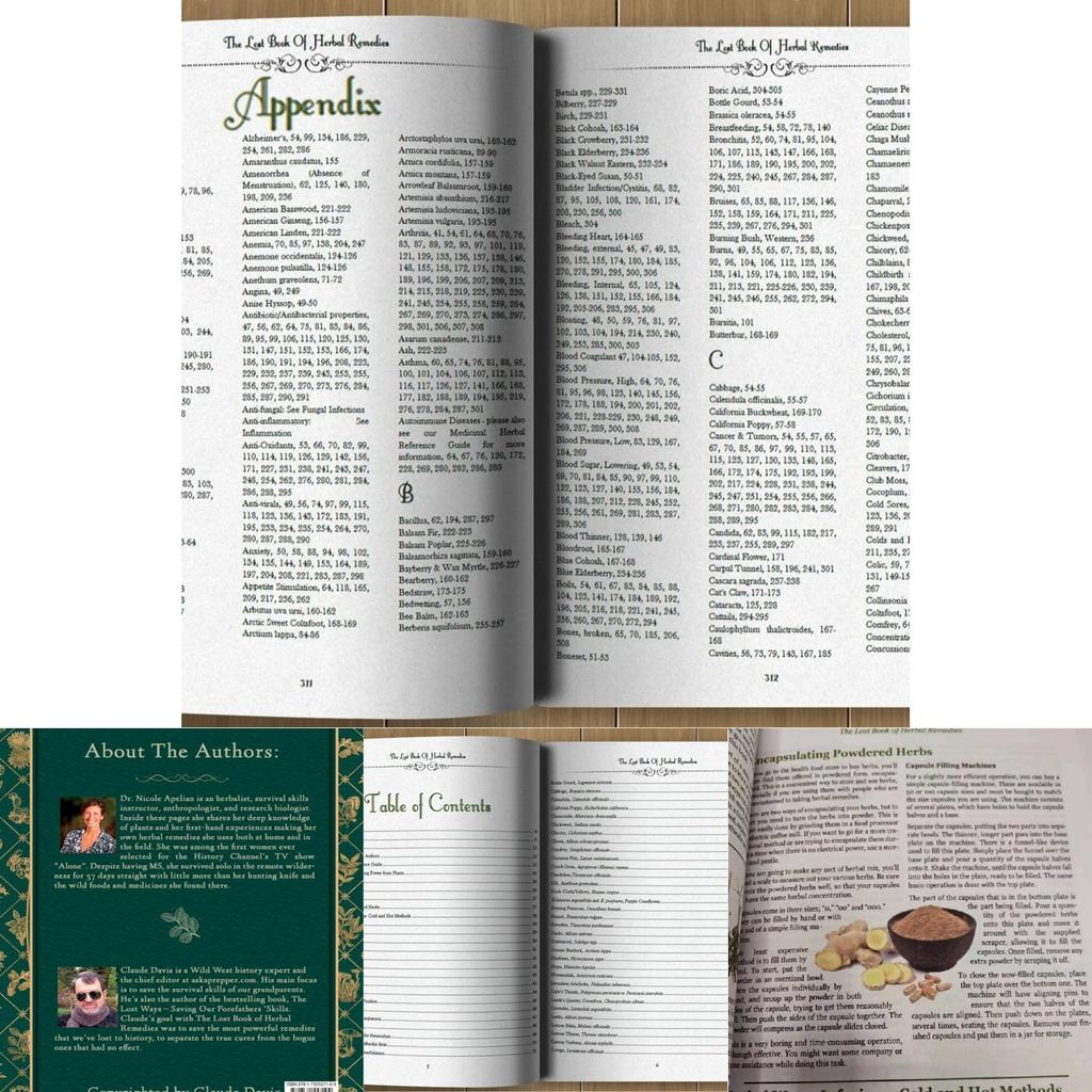 Green Edition The Lost Book Of Herbal Remedies Essential Natural Healing Techniques