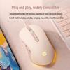 HP Wired Gaming Mouse with Dynamic RGB Lighting