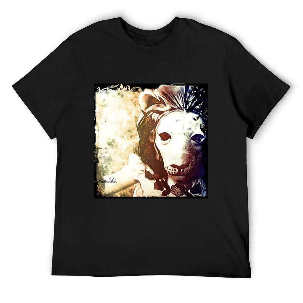 Homeland T-Shirt Vintage Shirts Graphic Tees Korean Fashion Mens Champion T Shirts