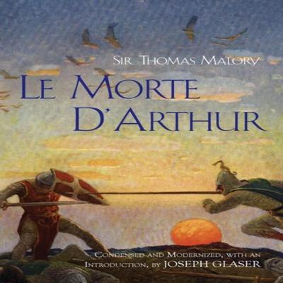 Le Morte DArthur by Thomas Malory Paperback Book 9781624663598