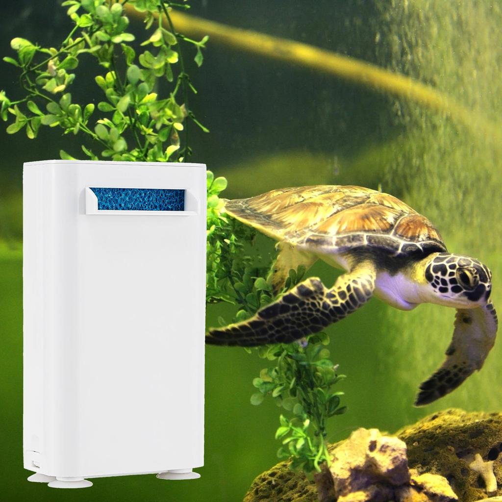 Advanced Aquarium Water Filtration System for Reptile Tanks