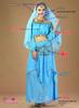 Traditional Ethnic Belly Dance Costume with Coin Skirt and Long Sleeves