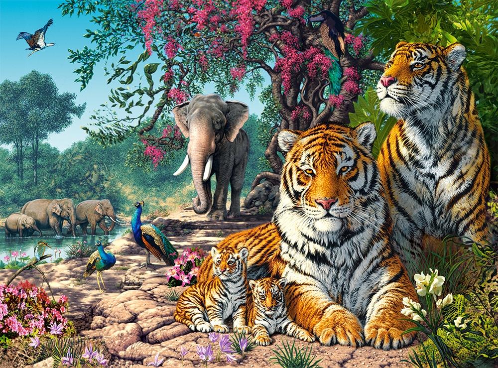 Puzzle 3000 pieces C-300600-2 Tiger Sanctuary