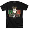 Unisex Shirt Cotton Oversize Large Size Team Canelo Alvarez Tee Mexico Champion Boxing Graphic Design T-Shirt