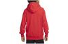 Nike Sweatshirts Men's Red Hooded Moderate Regular DV9778-657