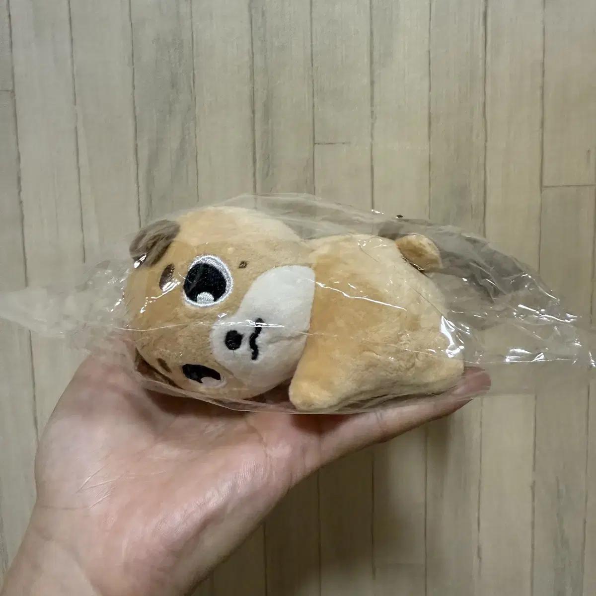 

DAY6 Кукла-грелка для рук Деньги