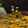 Weather Resistant Iron Mushroom Stake Garden Ground Stake with Antique Rusty Designs Outdoor Yard Landscaping Decoration