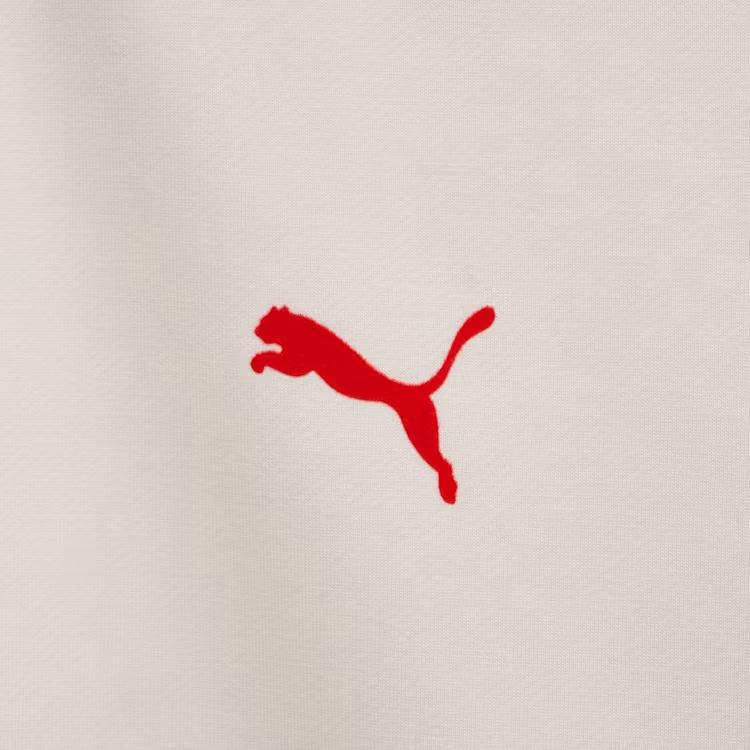 Puma Comfortable Versatile Raglan Long Sleeve T-Shirt Men Tops Red 94091801