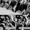 Black and White Mountain Tapestry Nature Moon Forest Mushroom Galaxy Stars Tapestry for Bedroom Aesthetic Wall Art Decor for