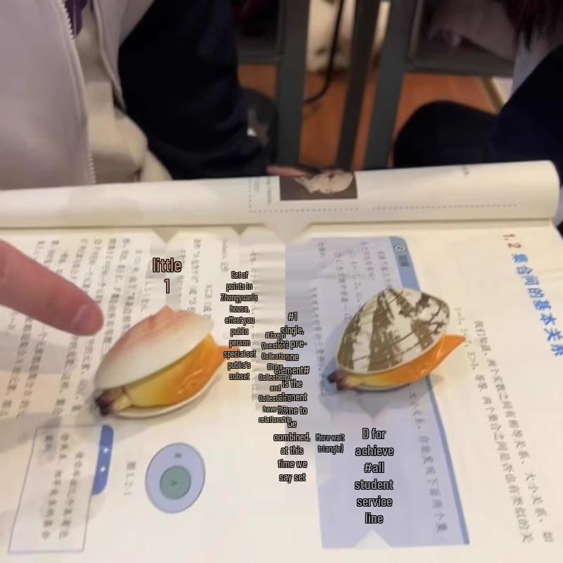 Clam Shell Water Gun: Funny Prank Toy for Simulation and Stress Relief