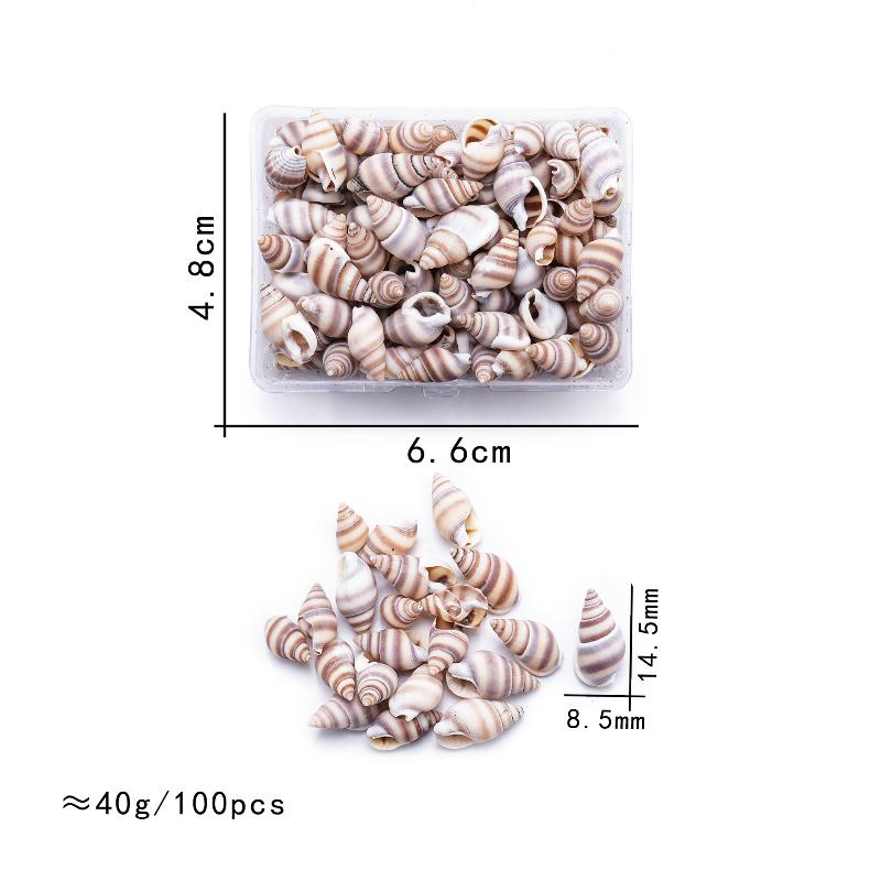 

1 Коробка Морские Ракушки Спиральные Ракушки Крошечные Океанские Спиральные Морские Ракушки Поделки Украшение для Аквариума Ландшафтные Аксессуары Реквизит для Фотографии