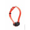 Collier seul de dressage canicom avec sangle noire