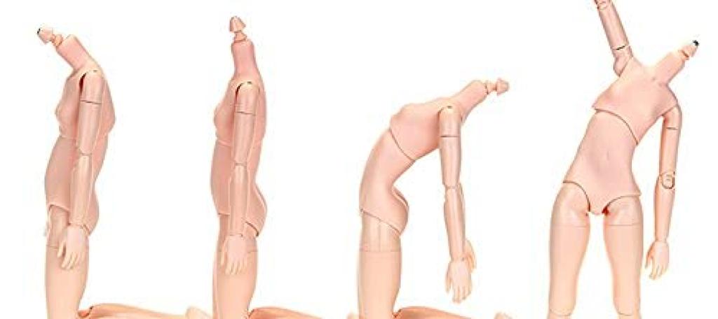 Obitsu Doll 24cm Obitsu Bust New Natural 24BD-F02N-L Body, L,