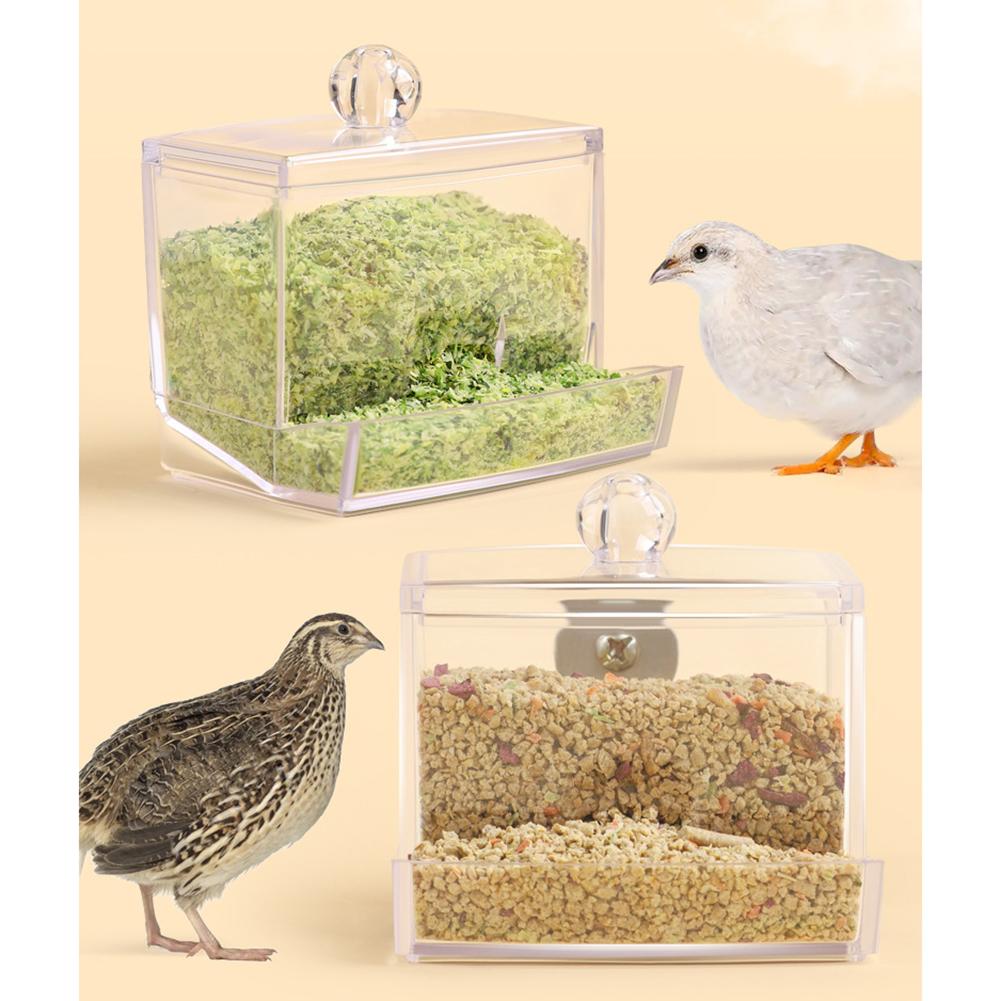 Rutin Chicken Automatic Food Feeder Large Capacity Anti-overturning Food Box Small Animal Feeding Supplies