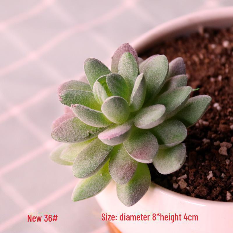 Realistic Fake Succulent Plants for Indoor & Outdoor Wall Decor