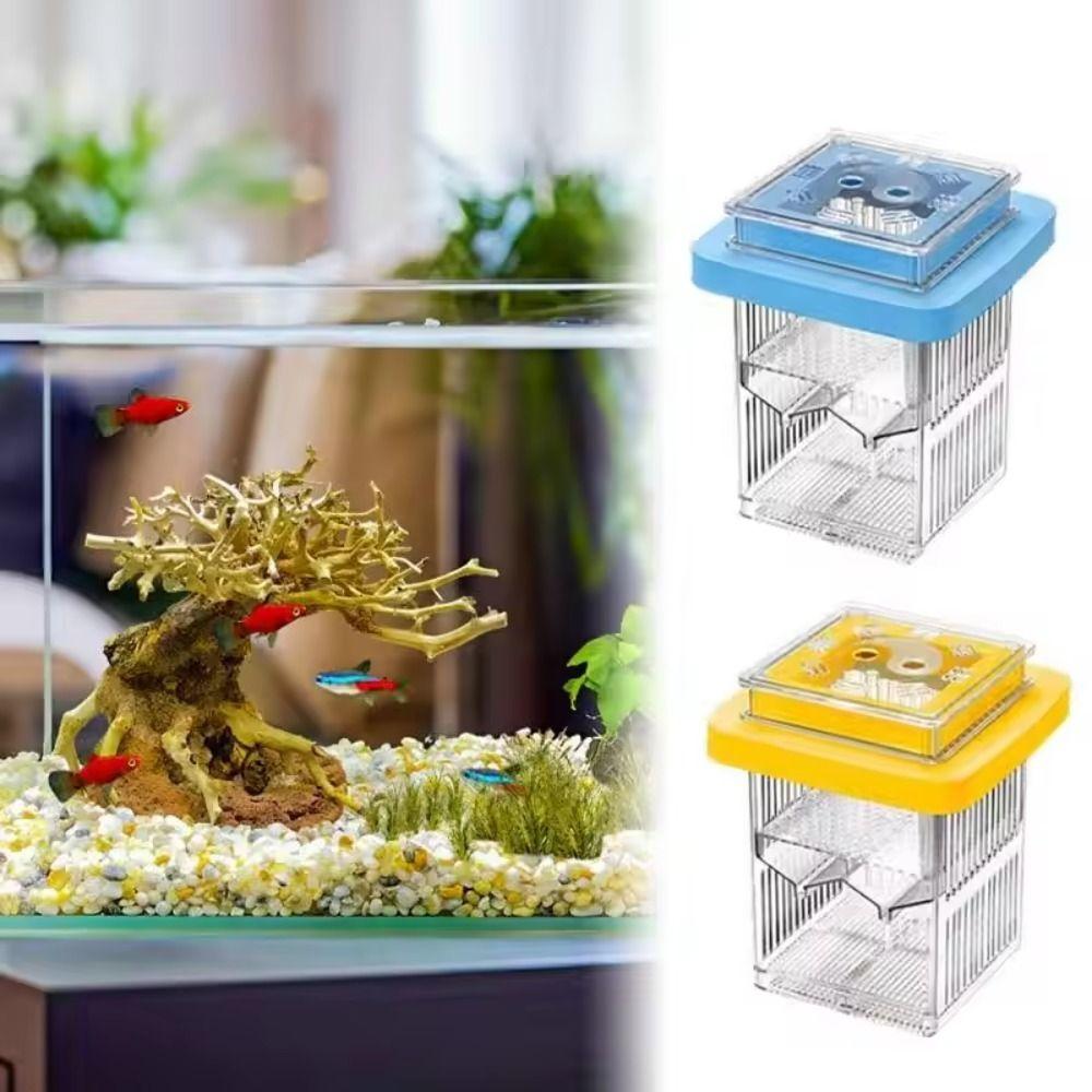 Permeable Floating Hatching Box Transparent Aquatic Life Hatchery Guppy Breeder Box  Fish Breeding