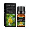 10ML Gentle Moisturizing Massage Oil for Oily Skin - Essential Oil for Body Massage
