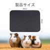 Washable Pet Pee Pads for Small Dogs Cats and Guinea Pigs 2-Pack Direct from Japan