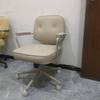 Ergonomic Swivel Office Chair with Backrest for Study, Bedroom, or Live Broadcast