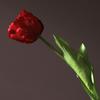 Flores de Tulipán Artificiales Tacto Real Tulipán de Tallo Largo Ramo con Hojas para Ramo de Boda Arreglo Floral de Primavera Decoración de Mesa para el Hogar