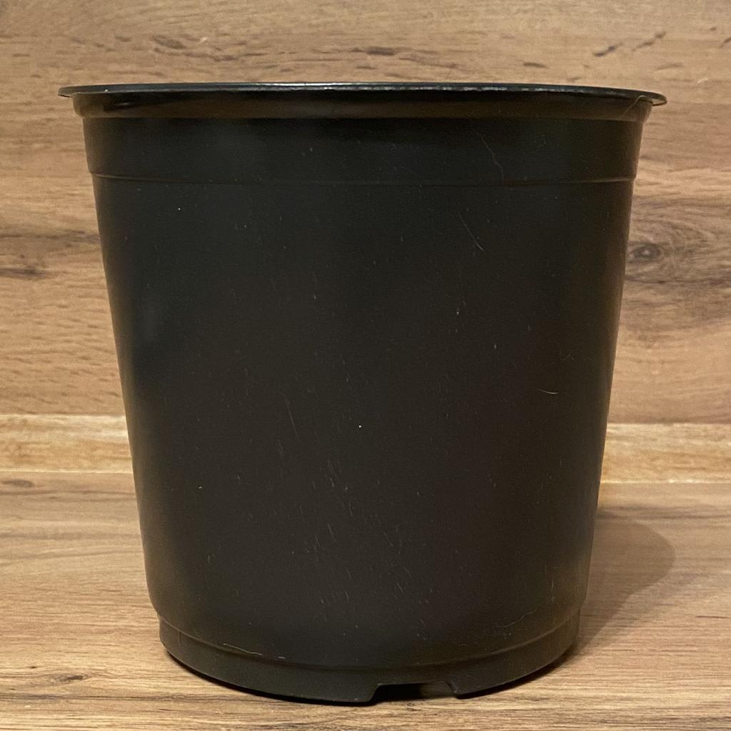 1.5 Liter Black and White Flower Pot 40 Pieces Black Seedling Pot Nursery Planting Pot Thickened PP
