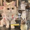 Sleeveless Pet Dog Dress Summer Clothes Pet Clothes Chihuahua Bichon French Bulldog
